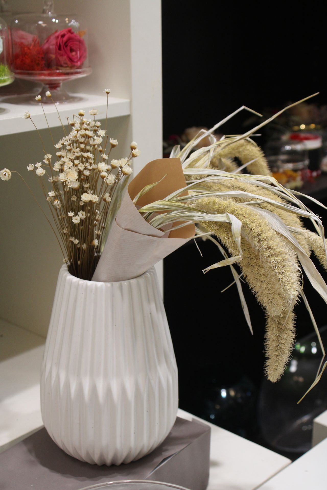 Plantes & Décoration